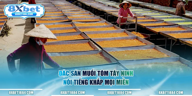 Đặc sản muối tôm Tây Ninh nổi tiếng khắp mọi miền