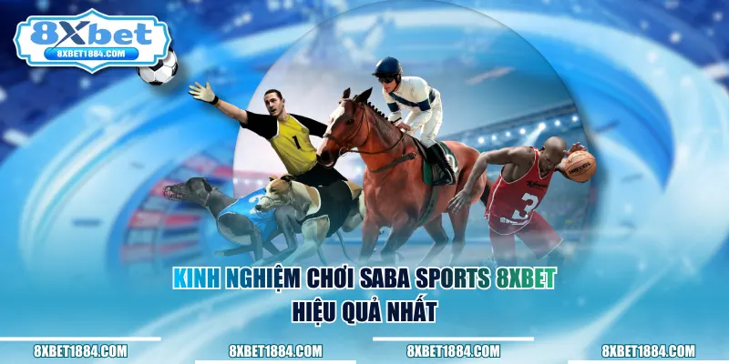 Kinh nghiệm chơi saba sports 8xbet hiệu quả nhất
