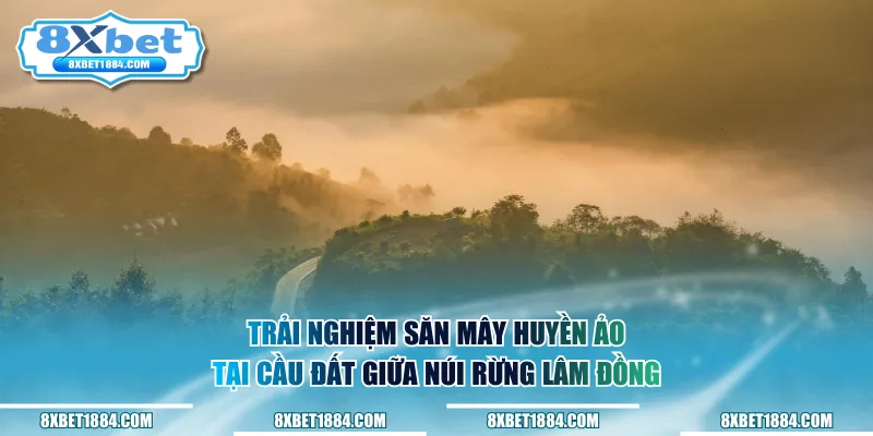 Trải nghiệm săn mây huyền ảo tại Cầu Đất giữa núi rừng Lâm Đồng